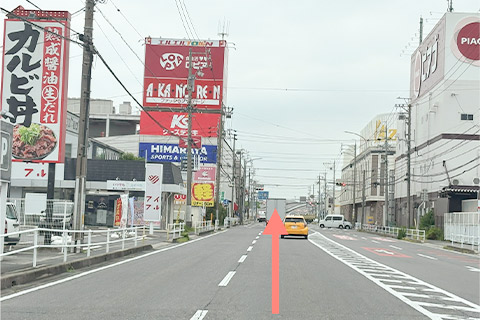 県道48号線(東側)岡崎方面