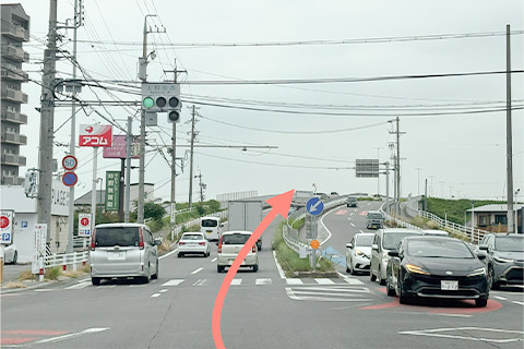 県道48号線(東側)岡崎方面